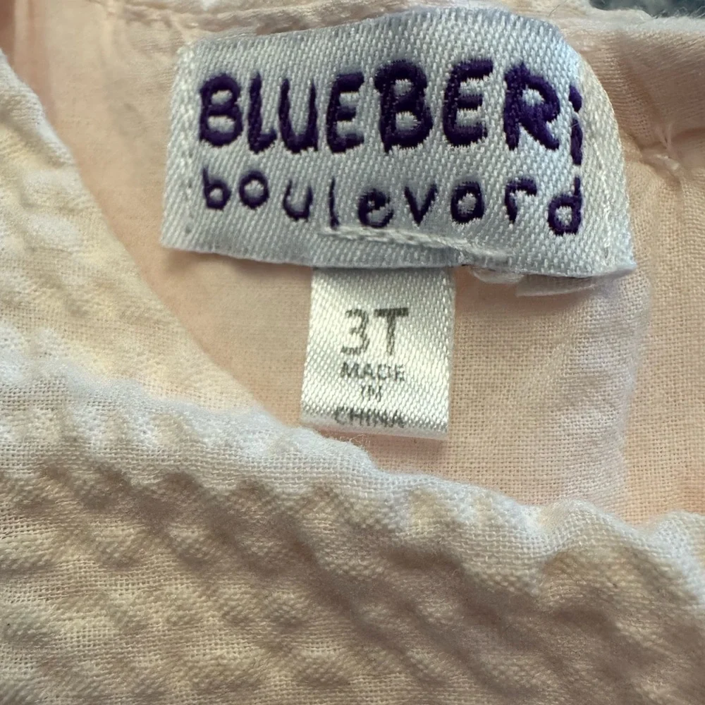 Blueberi Boulevard - Picture 4 of 5